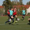 Bornaer SV - SpG Doebeln-Hartha 15.10.2017  (4)